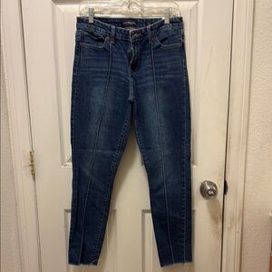 Universal Thread Blue Skinny Jeans Modern Fit